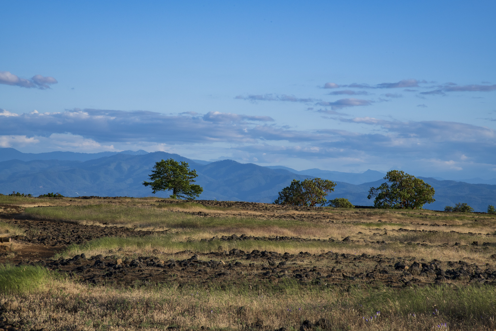 Beautiful late-day sun on the Upper Table Rock Trail