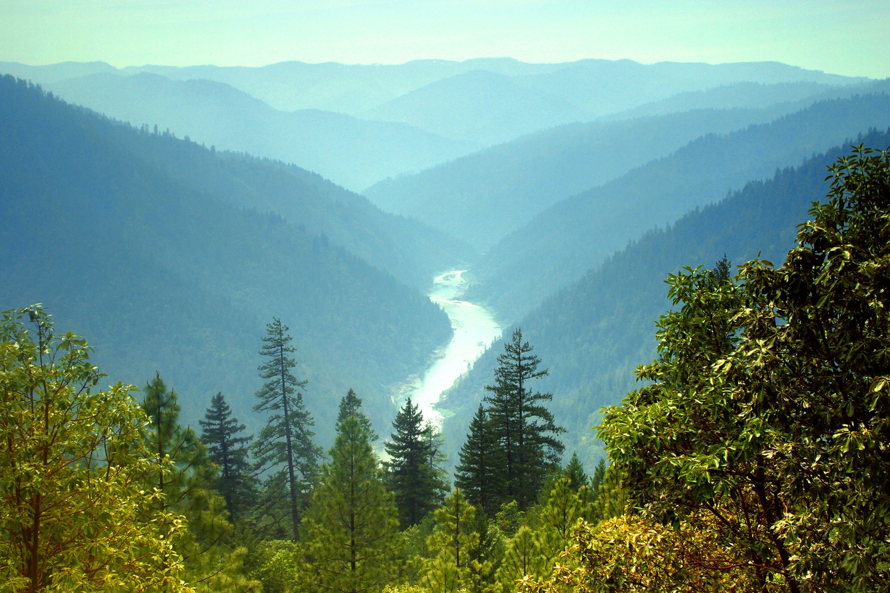 Rogue Wild & Scenic River