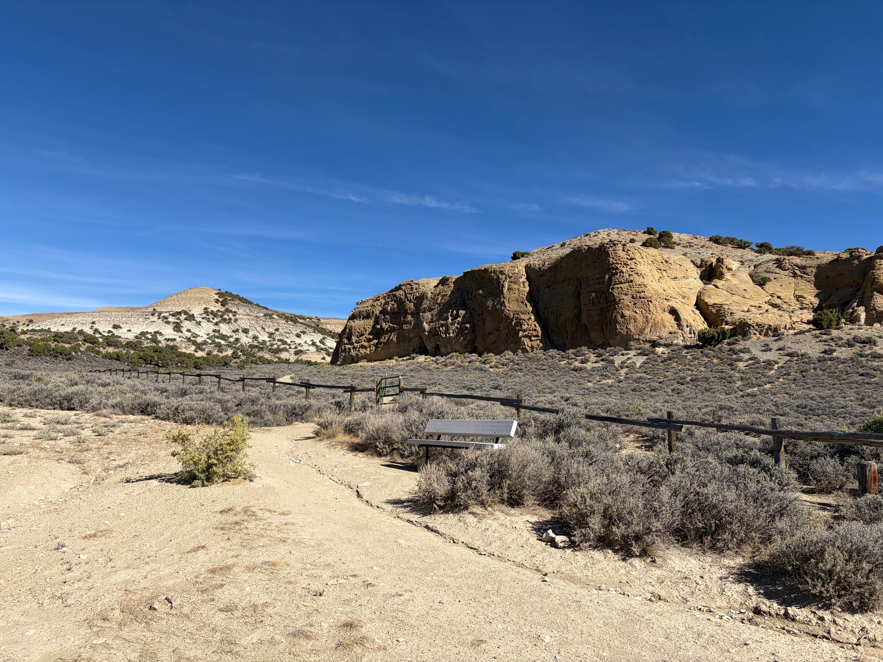 White Mountain Petroglyphs