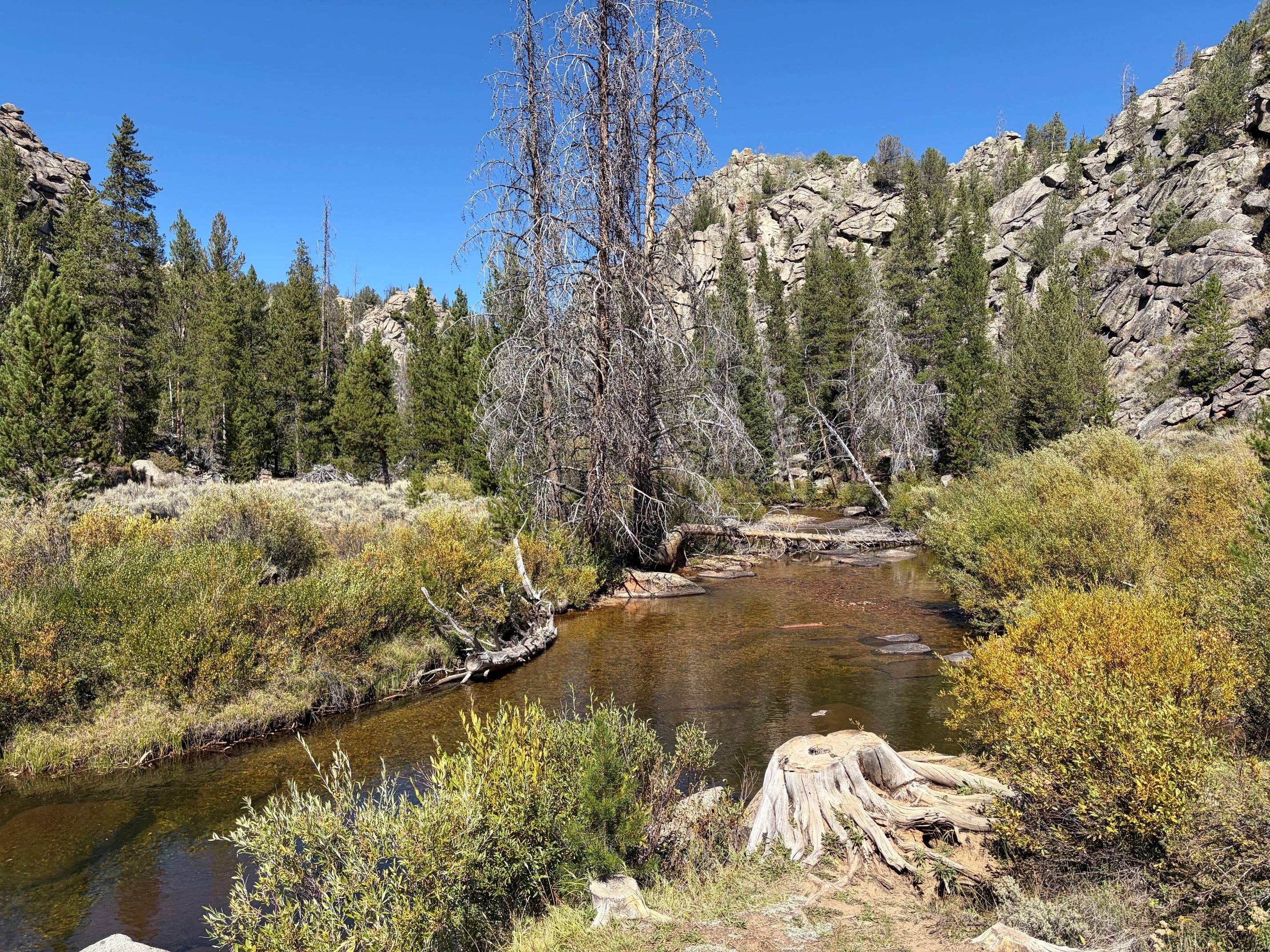 Sweetwater Bridge Campground