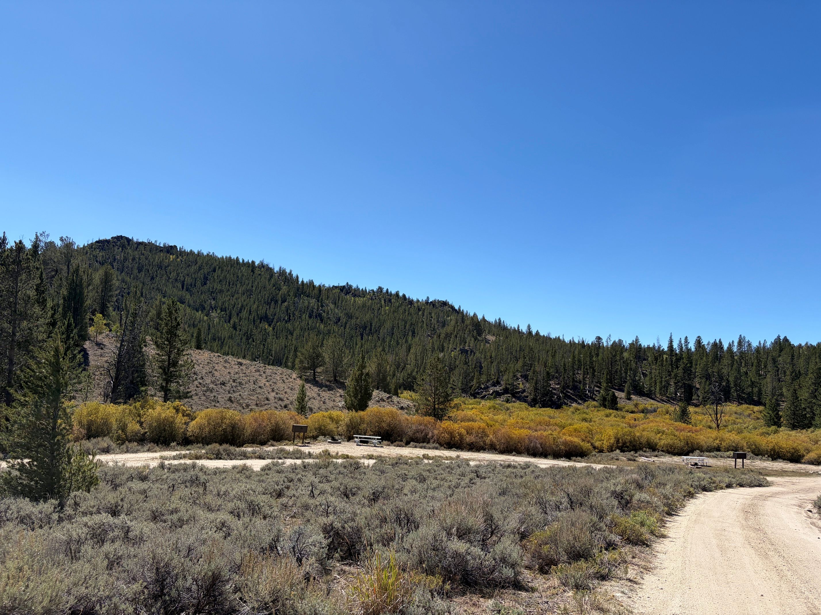 A scenic view of a pull-through camping site and a drive-in camping site