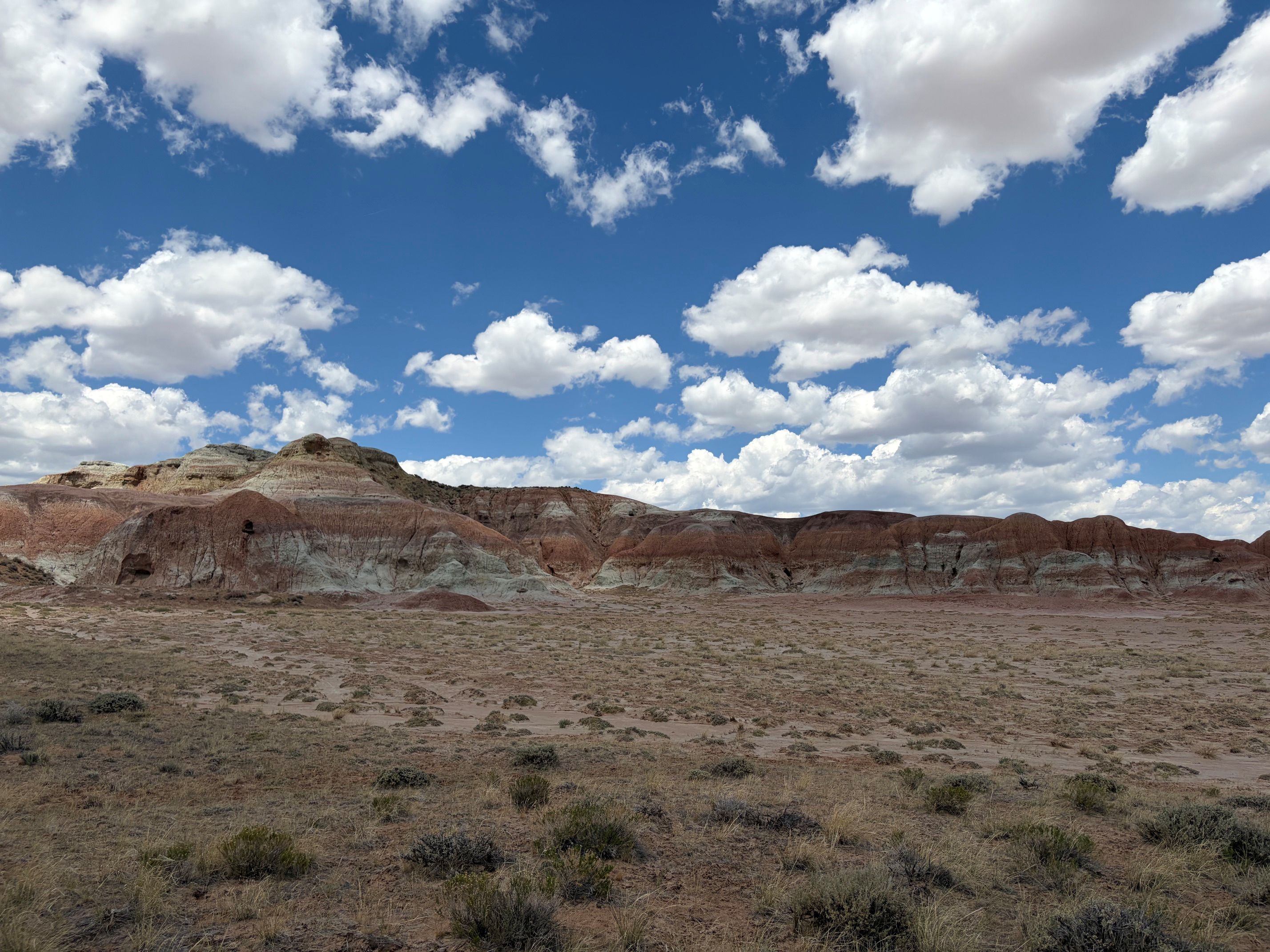 Landscape scenic view of Honeycomb Buttes Wilderness Study Area