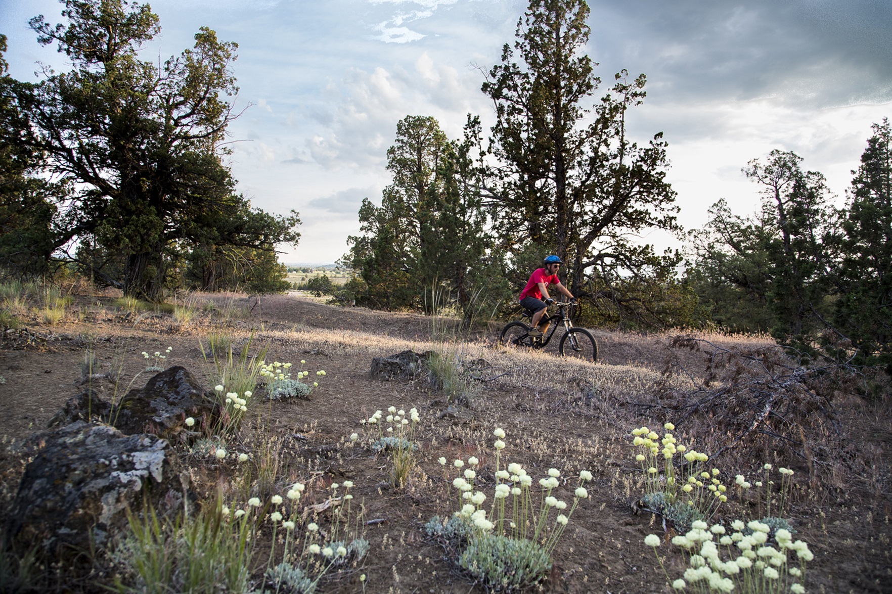 Mountain biking at Cline Buttes