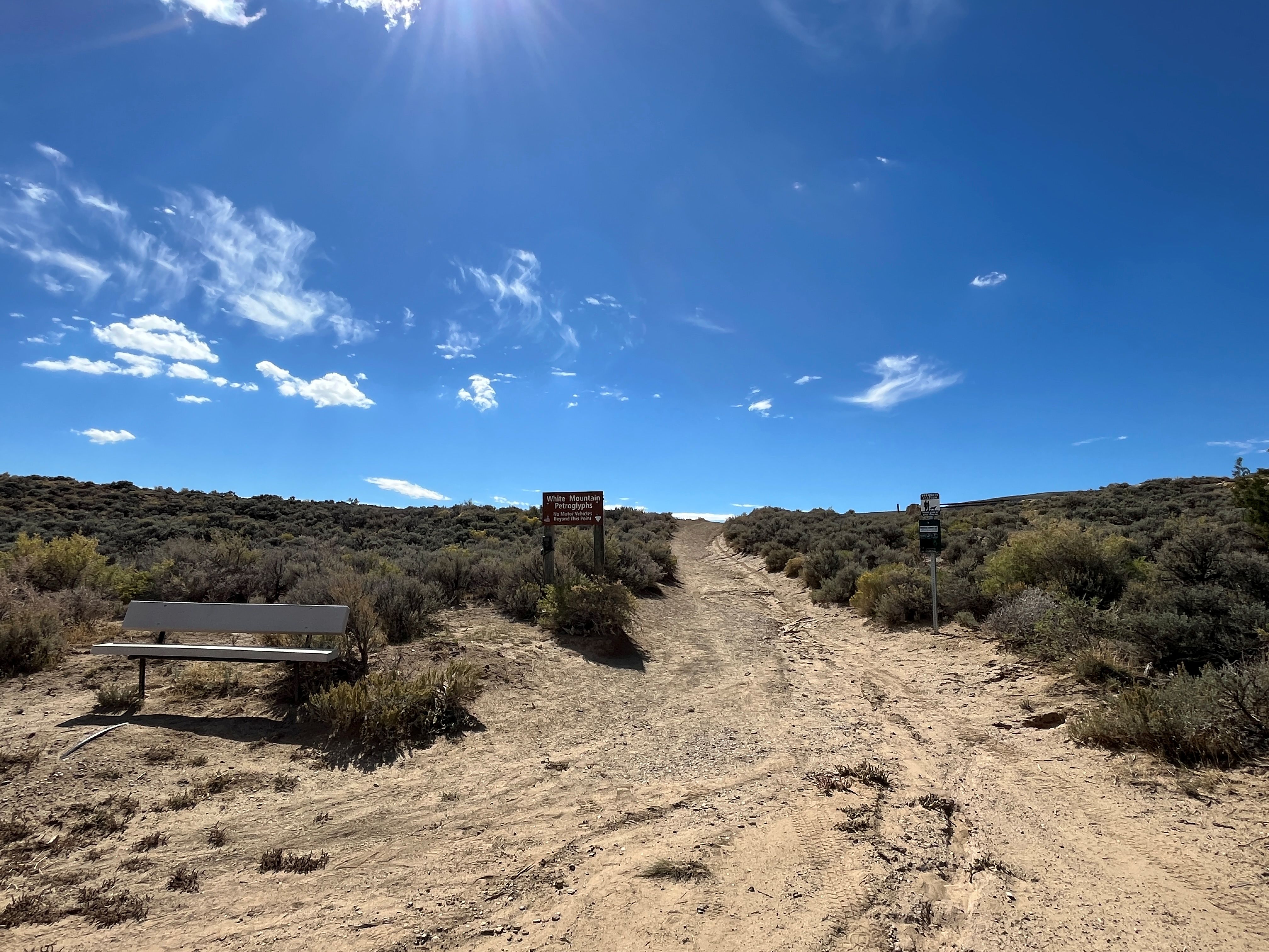 Pathway to petroglyphs with bench and dog waste bag station