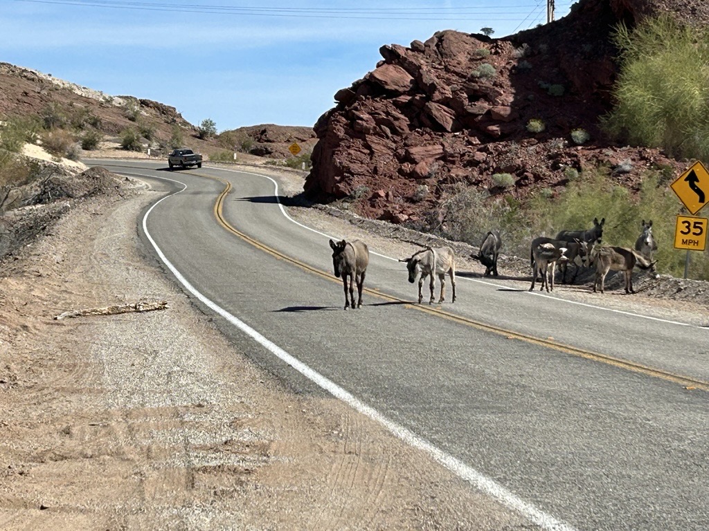 Parker Dam Road Back Country Byway