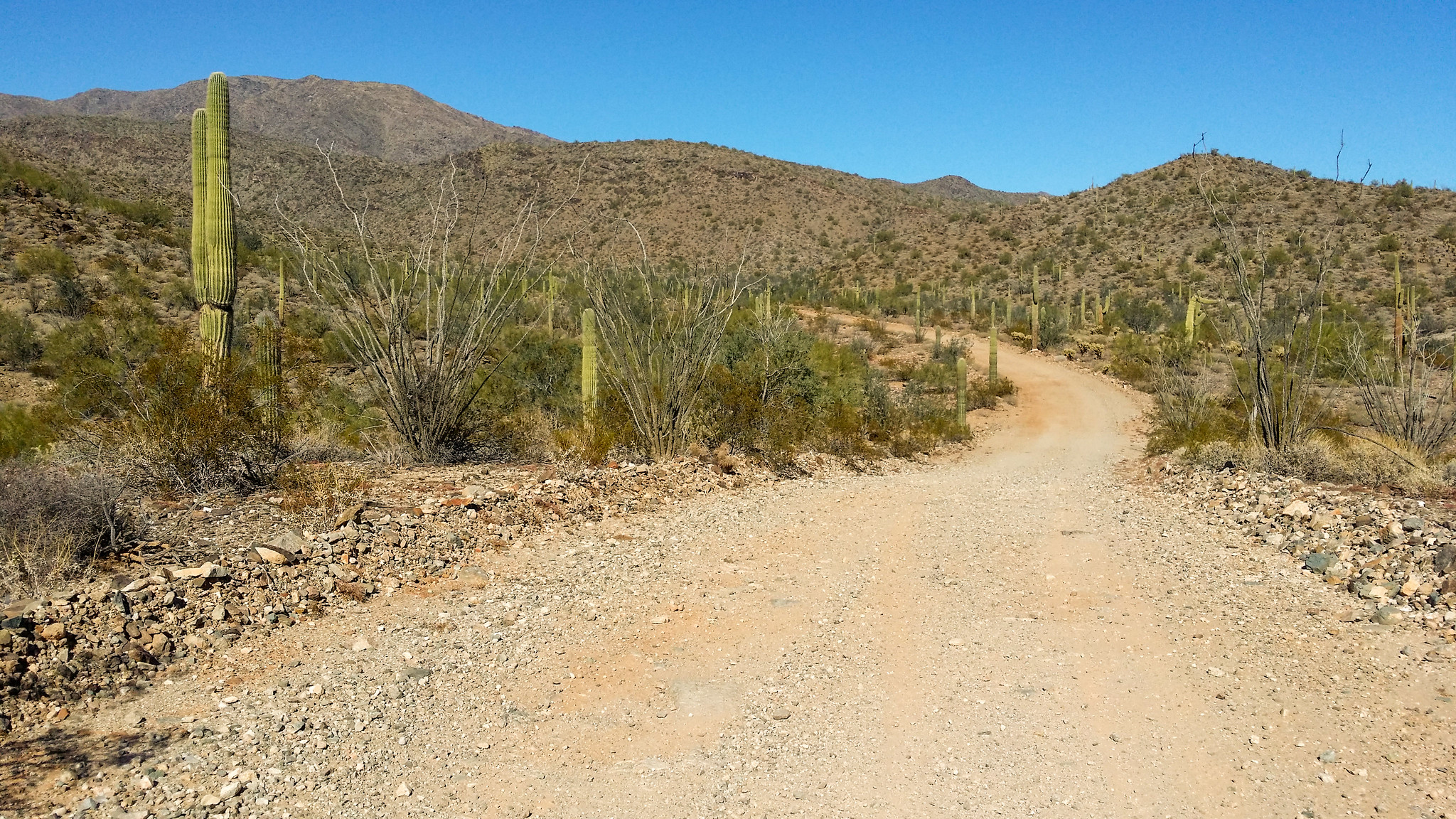 Harquahala Mountain Back Country Byway
