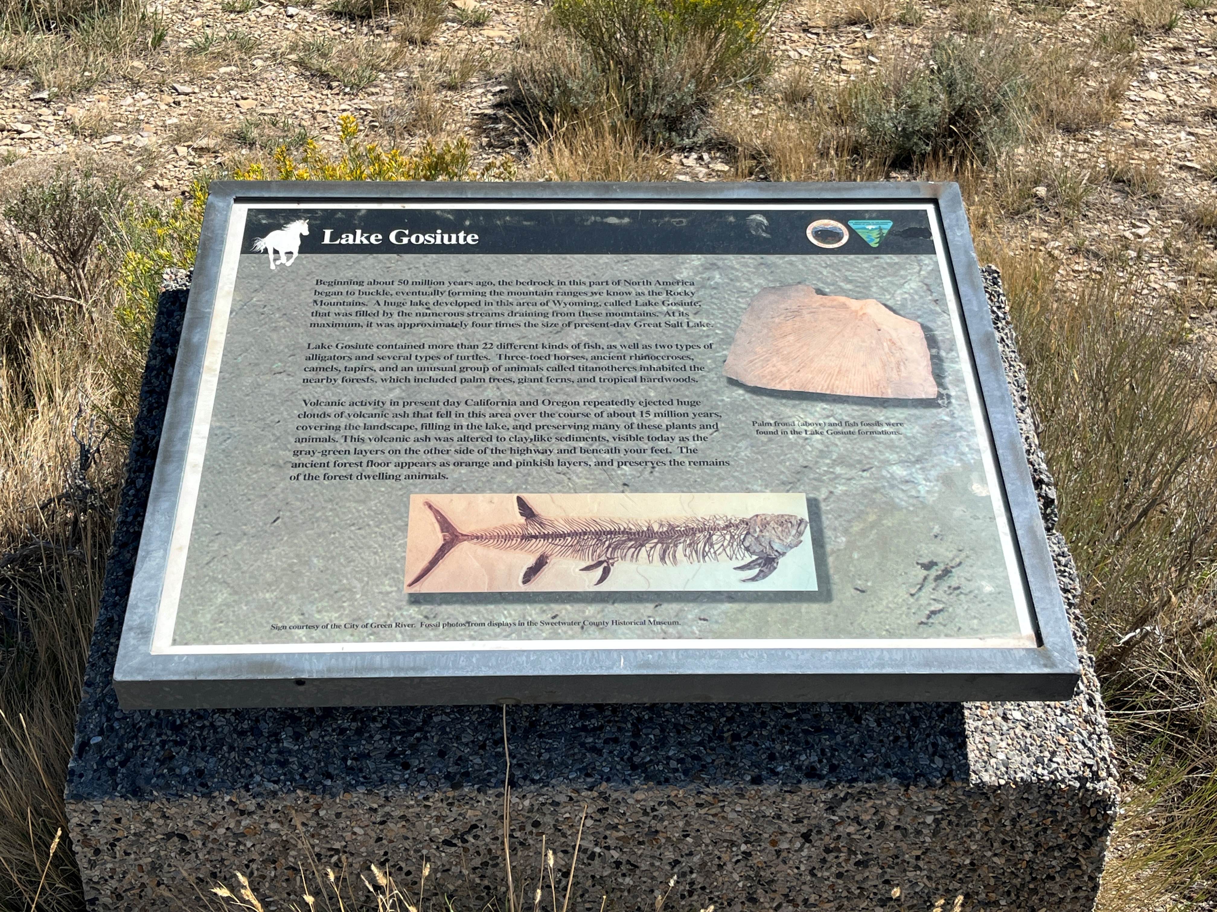 Lake Gosiute Interpretive Panel