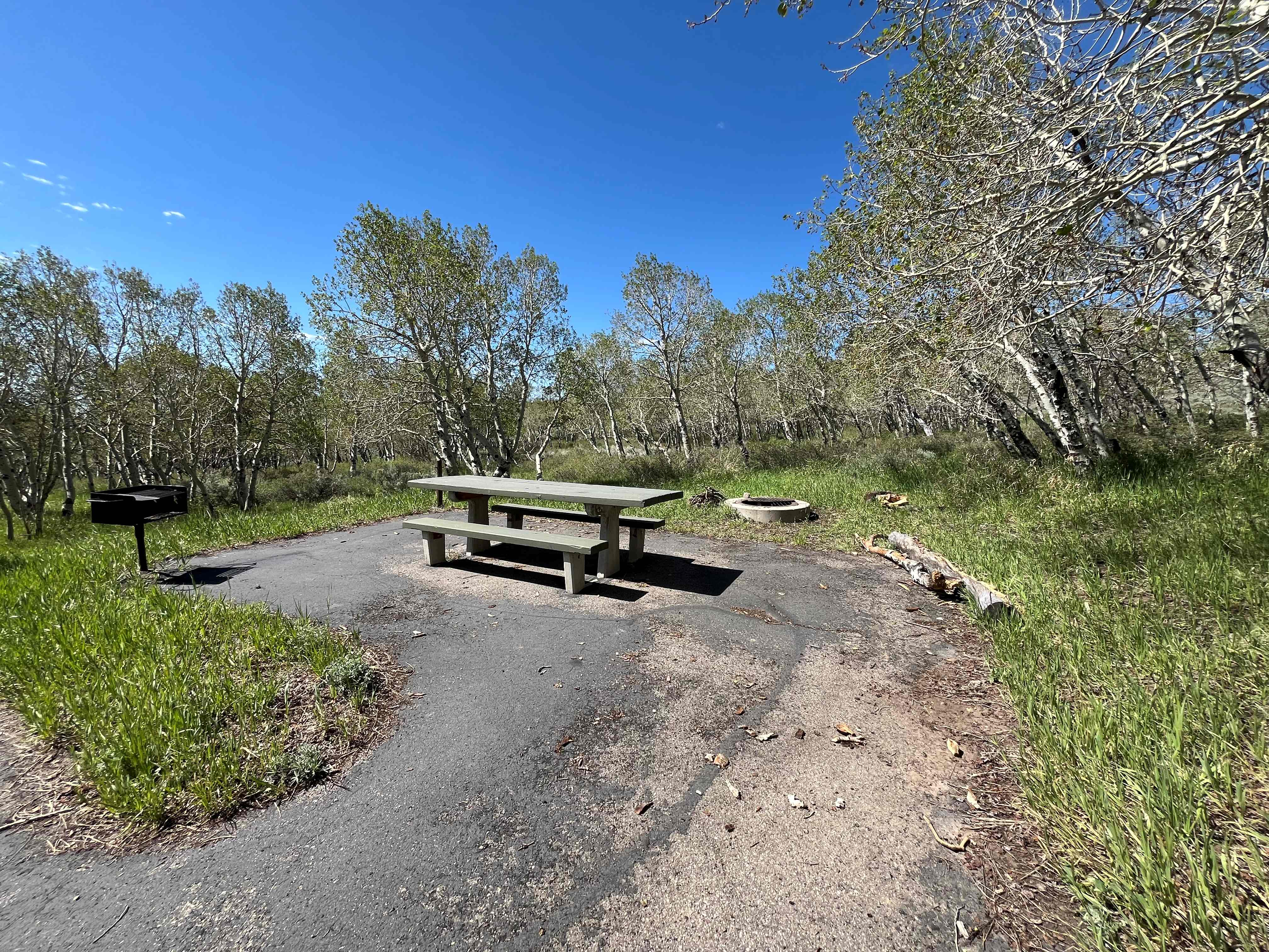 Picnic area featuring picnic table, grill, and fire pit