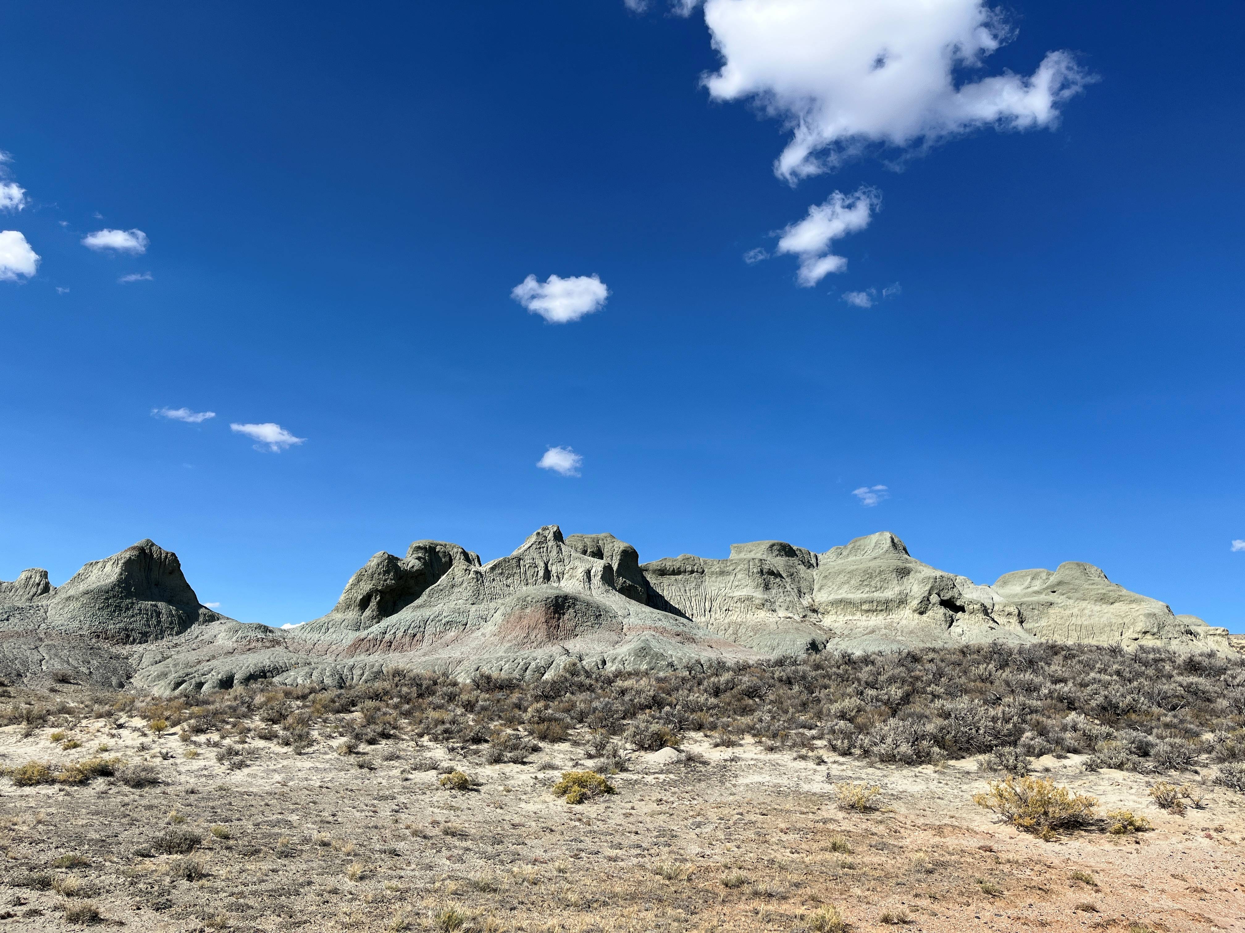 Whitehorse Creek Wilderness Study Area