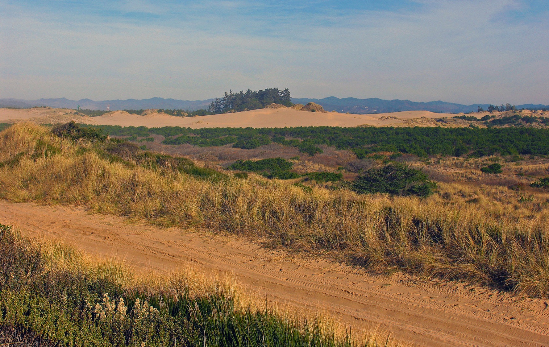 Sand dunes at North Spit ACEC
