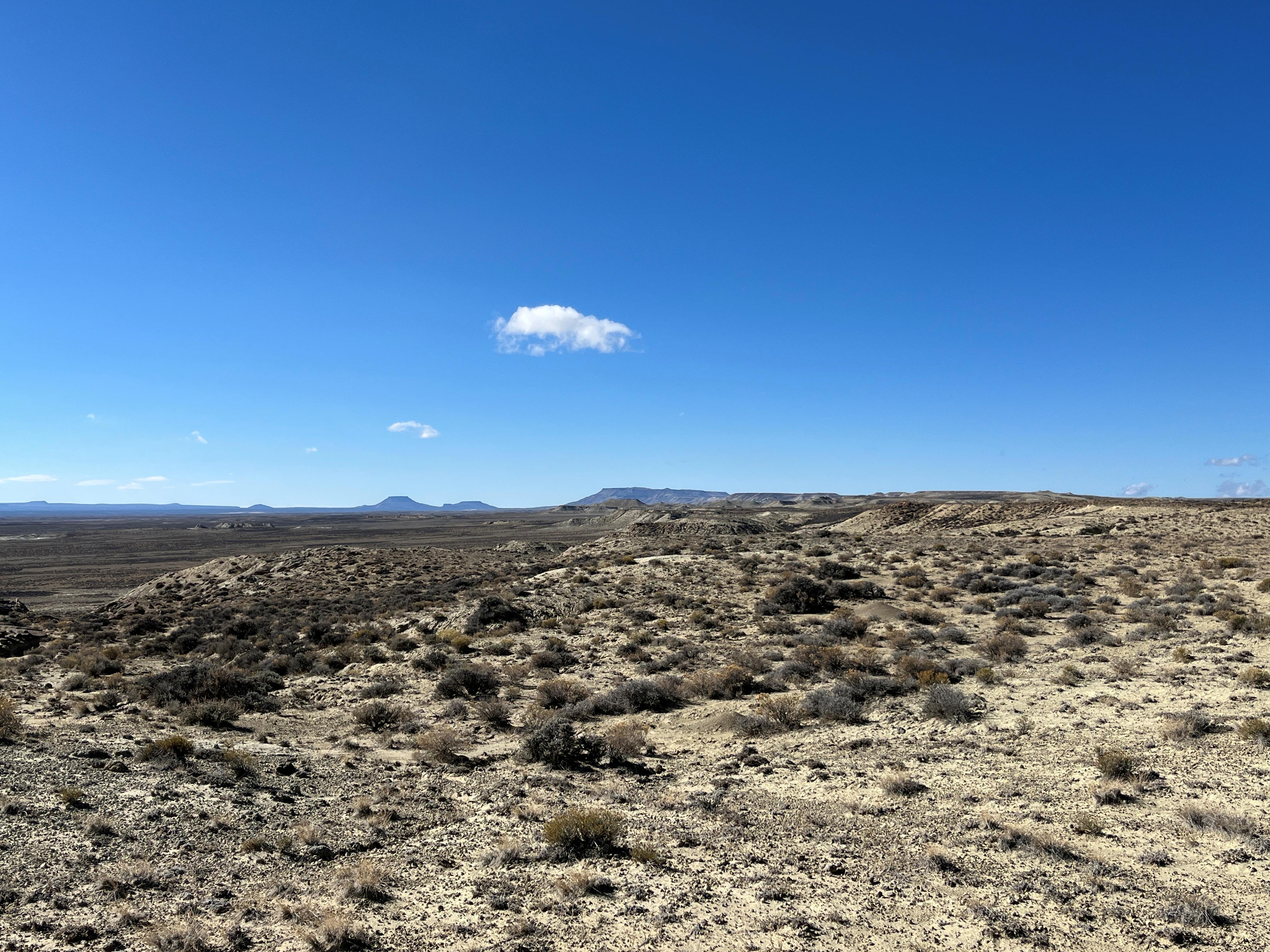 South Pinnacles Wilderness Study Area