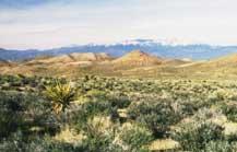 Preview photo of Pahrump Valley Wilderness