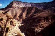 Paiute Wilderness