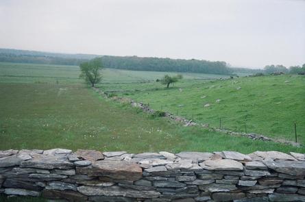 Neatly-laid Stone Wall alongside SR-169