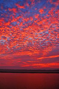 Red Buttermilk Sunset