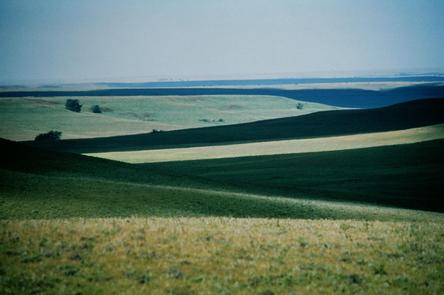 The Vast Tallgrass Prairie in the Flint Hills