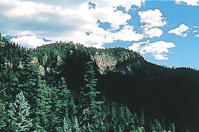 A Blend of Mountains, Sky, and Trees