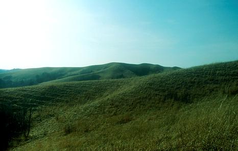 The Loess Hills Wildlife Area