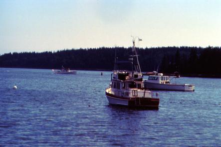 Lobster Boats in the Atlantic