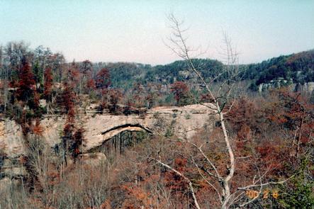 Natural Bridge from a Distance