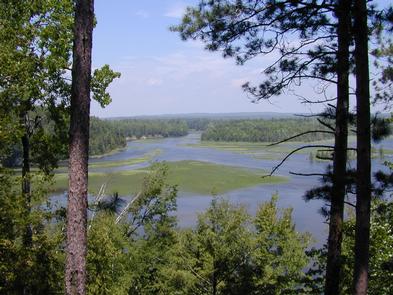 View of Au Sable River from Westgate Welcome Center