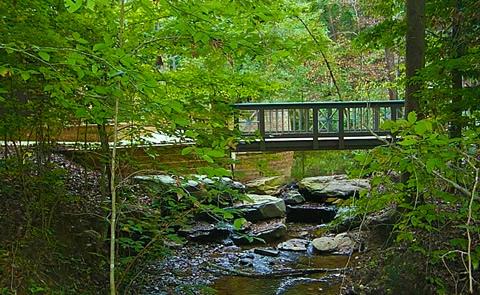 footbridge over wooded creekfootbridge over a creek