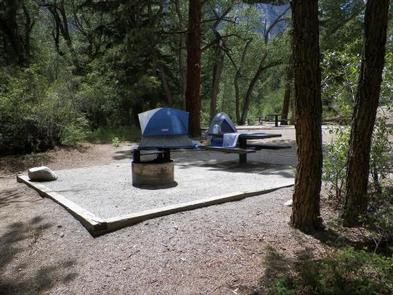 Campsite in trees with tents, fire pit and picnic tableCampsite with tents
