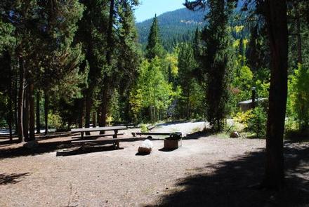 Campsite surrounded by treesCampsite with picnic table and fire pit.
