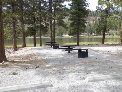 Campsite next to lake with trees and picnic tablesCampsite near lake with picnic tables and fire pits