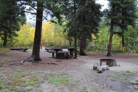 Shaded campsite with picnic table and fire pit
