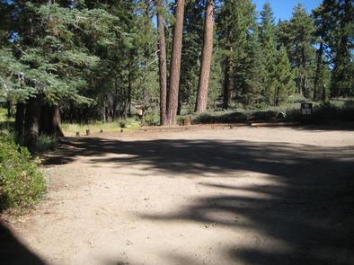Naturally Shaded Area at Deer Group Camp