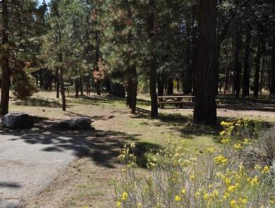 Shade & Picnic Tables of the San Gorgonio Campground