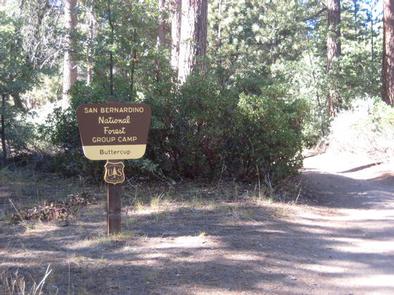 Buttercup Group Camp Sign