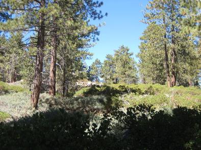 Boulder Group Campground view