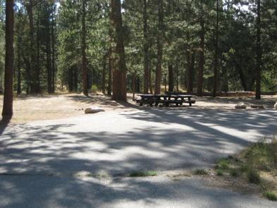 Barton Flats Campground Picnic Tables in the shade