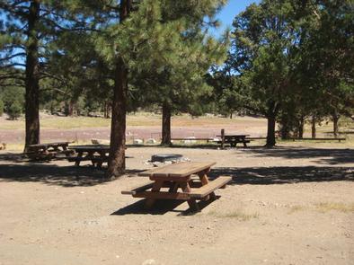 Juniper Springs Group Campground picnic tables