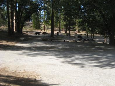 Council Camp picnic tables under the shade