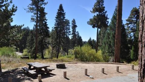Picnic Table & Fire Ring at Green Valley Campground