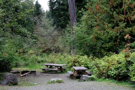 Shannon Creek Campground