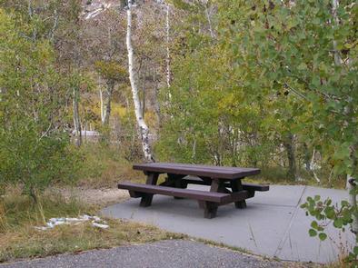 TERRACES CAMPGROUND - PICNIC AREA