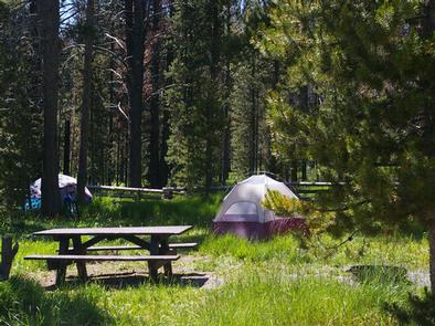 Preview photo of Trap Creek Campground