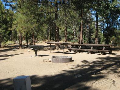 Shade, Picnic Tables, BBQ Grill & Fire Pit of the Skyline Campground