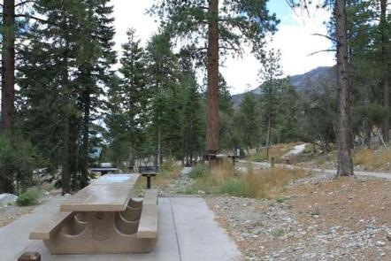 CATHEDRAL ROCK PICNIC AREA