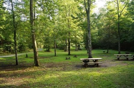 View of campground, tables and grills