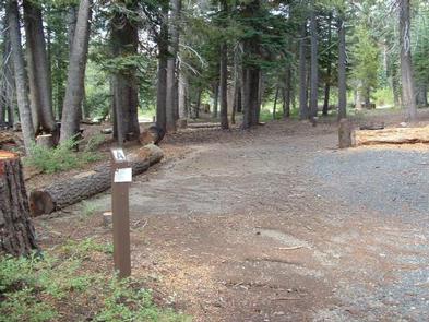 Preview photo of (Lake Alpine) Lodgepole Campground
