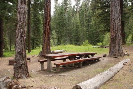 Double-long picnic table in open pine forest with a green, tree ringed glade in the background.MINERAL SPRINGS GROUP