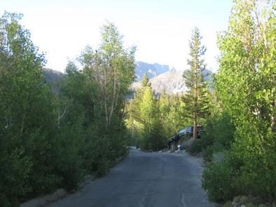 Preview photo of East Fork Campground – Inyo National Forest (CA)