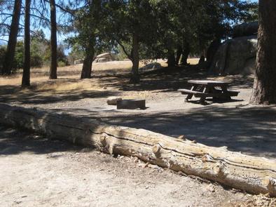 Crab Flats Campground picnic tables and log benches under the shade