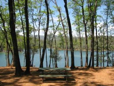View showing the lakeDry Creek Group Campground with a view of the lake