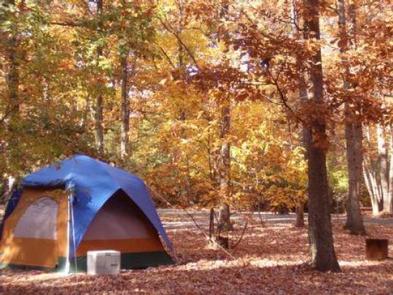 A Tent in the Greenbelt Park Maryland campgroundEnjoy a beautiful campsite in the Urban Oasis just  10 miles from the Nation's Capital 